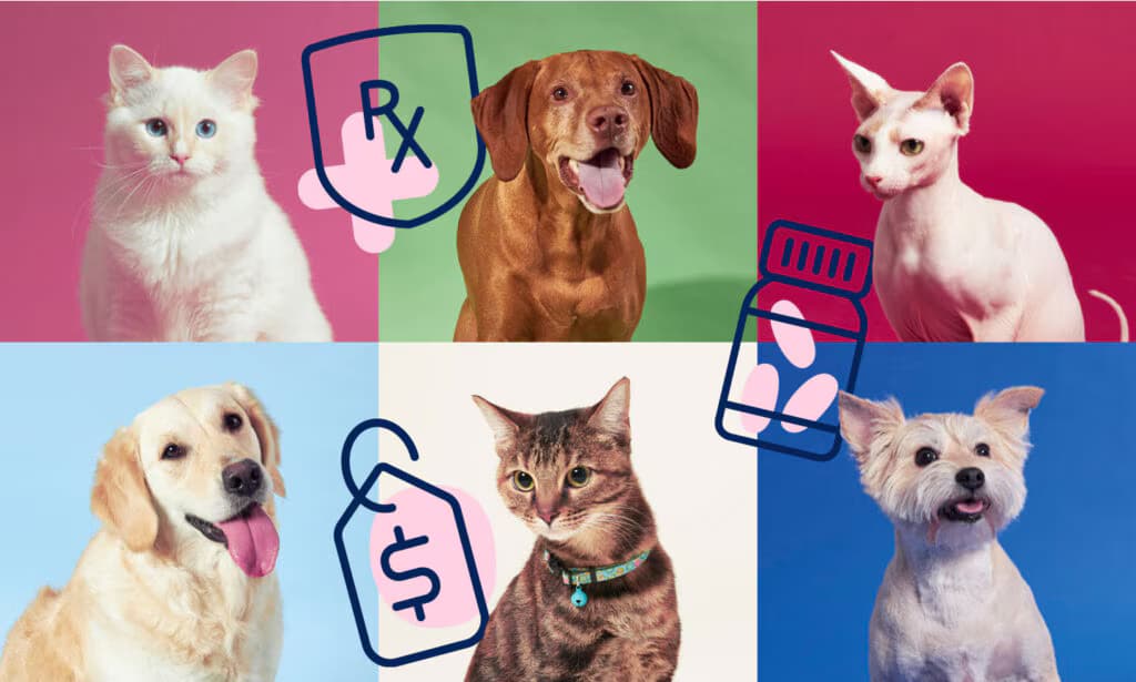 Sam’s Club Pet Insurance: An Informative Guide to Options for Seniors, Dogs, and Cats in the U.S.